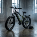 Powerful Electric Bike 48V 26AH 1000W Ebike Fatbike/Integrated Ebike Electric Bikes Powerful Electric Bicycle