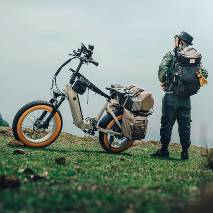 VTUVIA SX20 | 750W 48V | Folding Electric Bike | Step-Through Frame