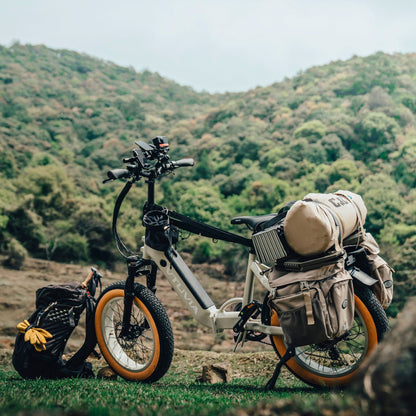 VTUVIA SX20 | 750W 48V | Folding Electric Bike | Step-Through Frame