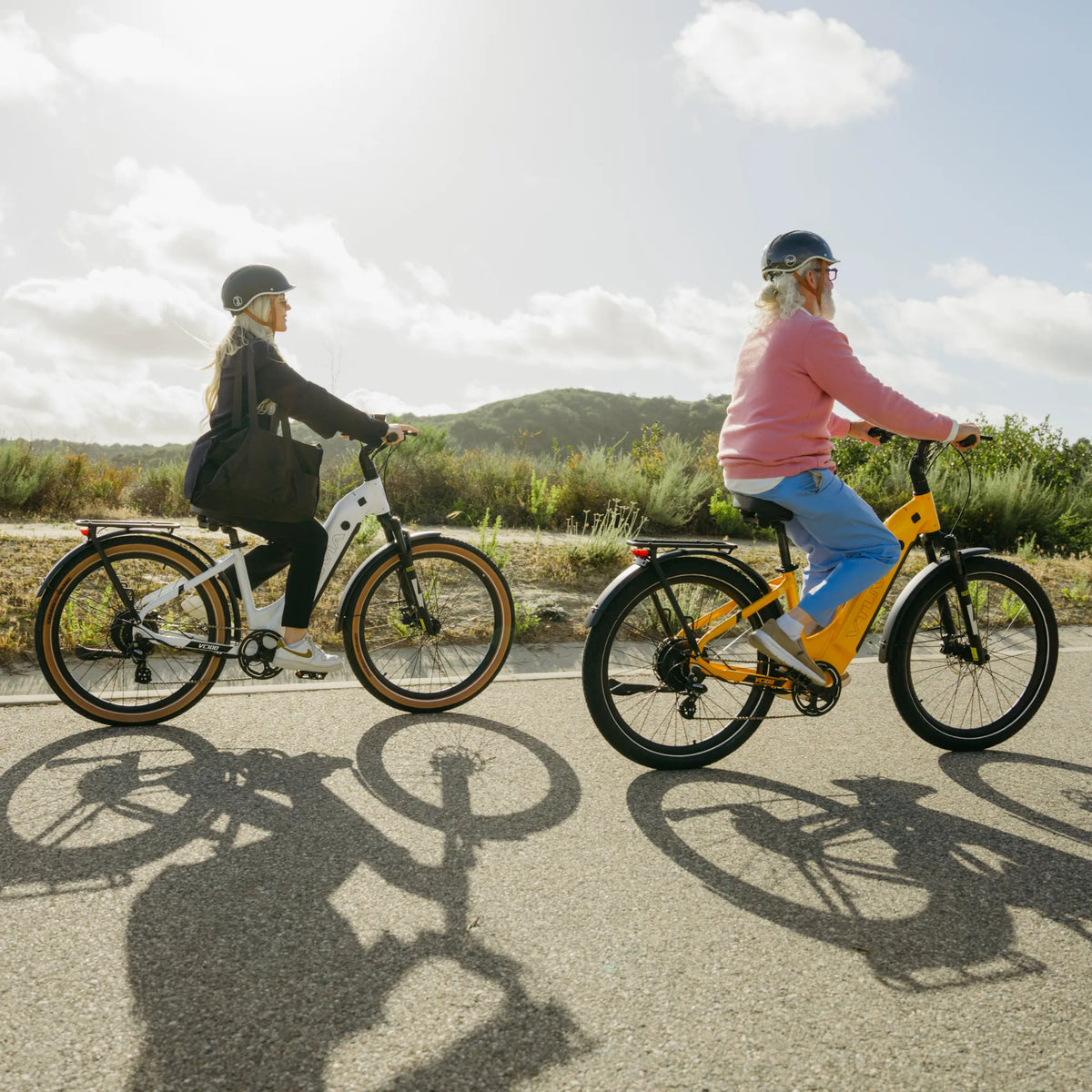 VTUVIA Zeal XT8 | 750W 720Wh | Commuter Electric Bike | Torque Sensor