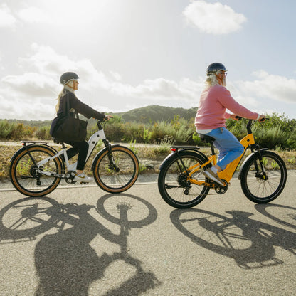 VTUVIA Zeal XT8 | 750W 720Wh | Commuter Electric Bike | Torque Sensor